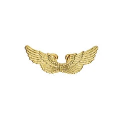 Ailes D'ange En Plastique Rigide Or