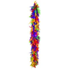 Boa Plumes Multicolores 180 Cm