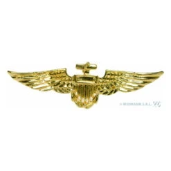 Combinaison Kaki US De Pilote 9 Combinaison Kaki US De Pilote -Boutique De Carnaval D'Halloween Broche d aviateur couleur doree 1