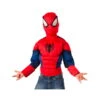 Cagoule Et T-shirt Spiderman Pour Enfant -Boutique De Carnaval D'Halloween Cagoule et t shirt spiderman pour enfant