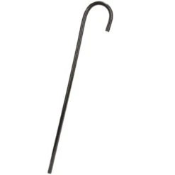 Canne Noire Avec Poignée Courbée