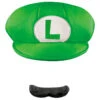 Casquette Et Moustache De Luigi Pour Homme
