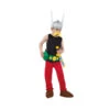 Costume De Astérix Pour Enfant