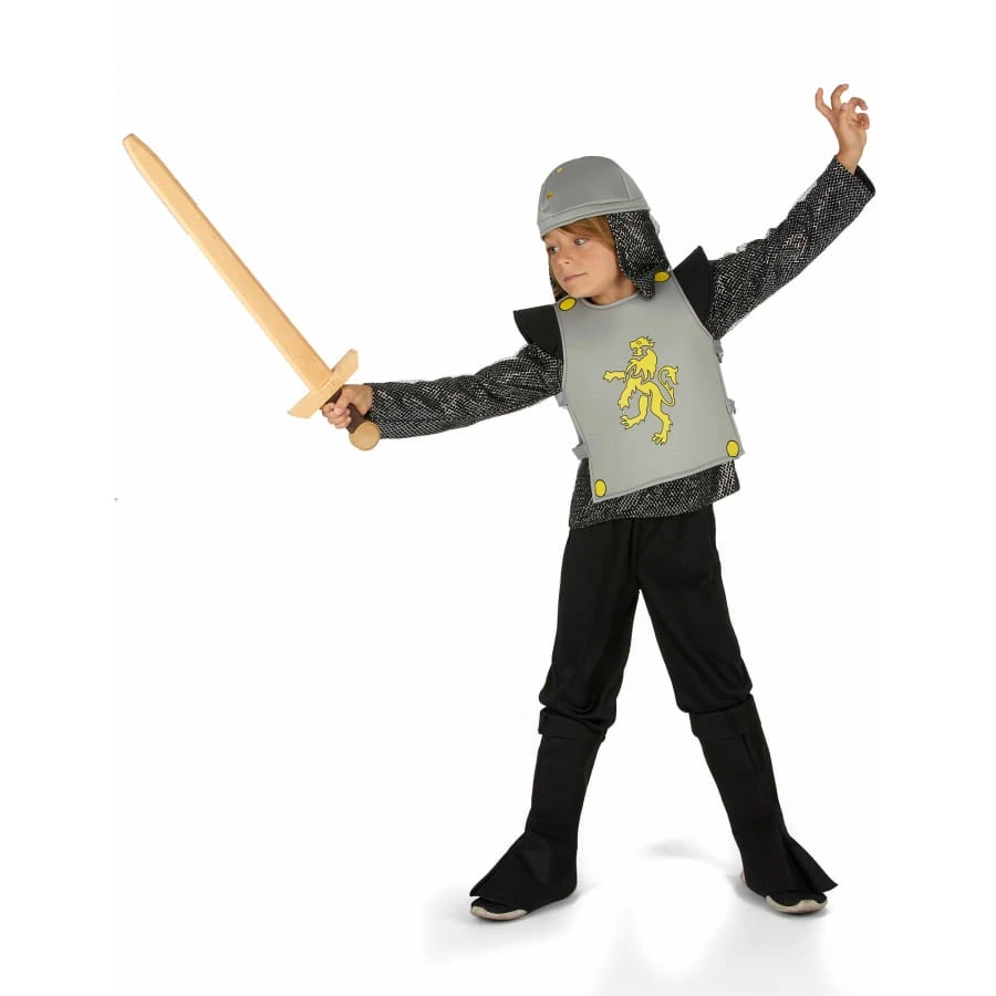 Costume De Petit Chevalier Blason Lion 4 Costume De Petit Chevalier Blason Lion – Image 2