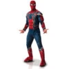 Costume De Spiderman Infinity War Musclé, Adulte