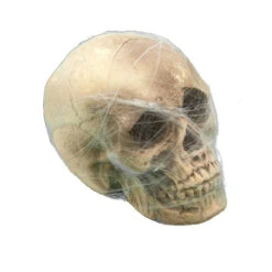 Robe De Mercredi Addams Avec Ceinture Pour Femme -Boutique De Carnaval D'Halloween Crane entoure de toile d araignee