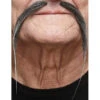Longues Et Fines Moustaches Grise Chinoises 2 Longues Et Fines Moustaches Grise Chinoises -Boutique De Carnaval D'Halloween Longues et fines moustaches grise chinoises