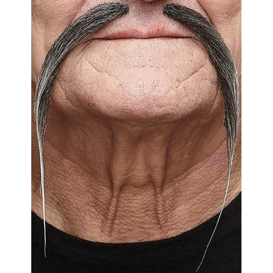 Longues Et Fines Moustaches Grise Chinoises 3 Longues Et Fines Moustaches Grise Chinoises