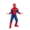 Luxueux Déguisement De Spiderman Pour Enfant