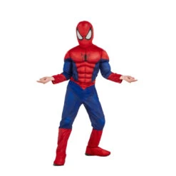 Luxueux Déguisement De Spiderman Pour Enfant