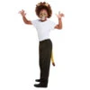 Maquillage De Lion Queue Et Oreilles Pour Enfant