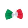 Noeud Papillon Drapeau Italien -Boutique De Carnaval D'Halloween Noeud papillon drapeau italien