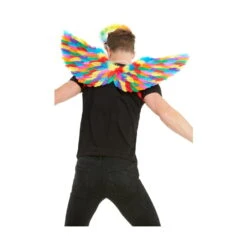 Paire D'ailes GayPride Avec Plumes, 80cm 5 Paire D'ailes GayPride Avec Plumes, 80cm -Boutique De Carnaval D'Halloween Paire d ailes gaypride avec plumes 80cm 56972