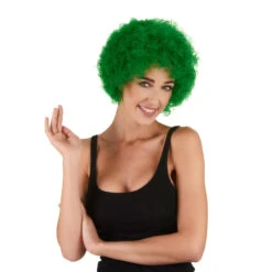 Perruque De Clown Afro -Boutique De Carnaval D'Halloween Perruque de clown afro 47103