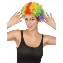 Perruque De Clown Afro Multiclore Pour Adulte -Boutique De Carnaval D'Halloween Perruque de clown afro multiclore pour adulte 121