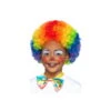 Perruque Multicolore De Petit Clown