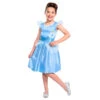 Robe De Cendrillon Pour Fille
