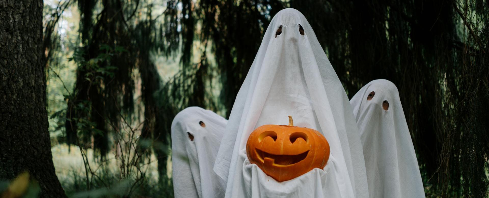 Boutique De Carnaval D'Halloween 16 Boutique De Carnaval D'Halloween -Boutique De Carnaval D'Halloween pexels cottonbro 5435309